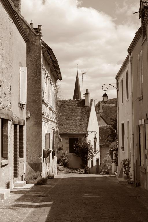 Le Meuble Monestois Mennetou-sur-Cher Exterior foto